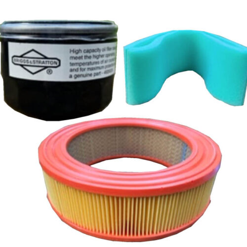 Briggs and Stratton Filter Kit